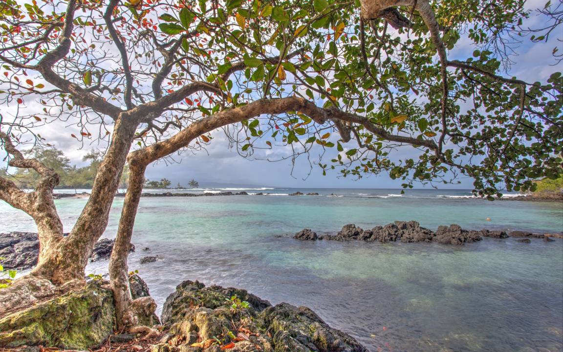 Photo of Others in Hilo