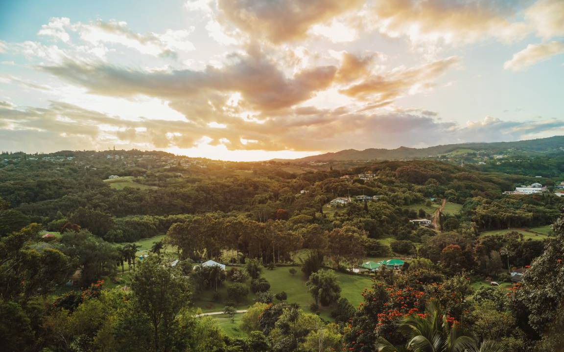 Photo of Others in Lawai