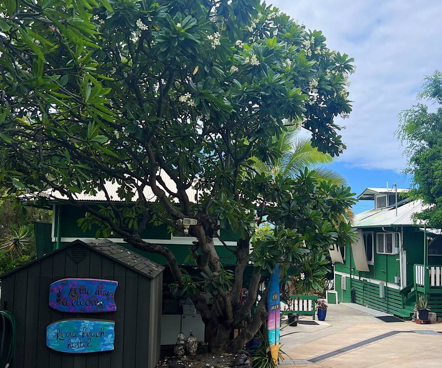 Photo of Others in Historic Kailua Village