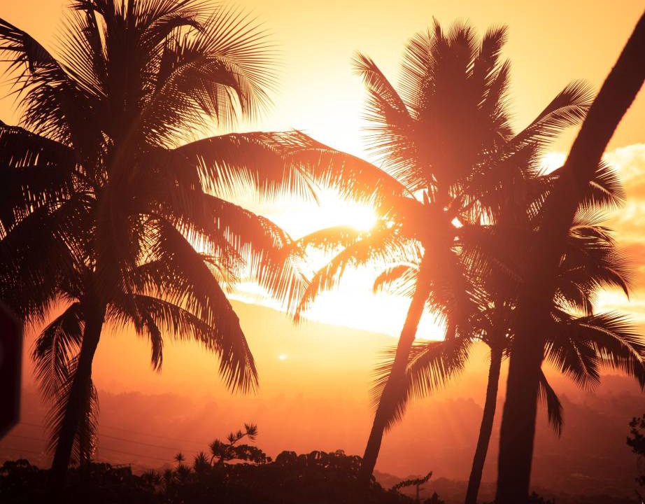Photo of Others in Holualoa