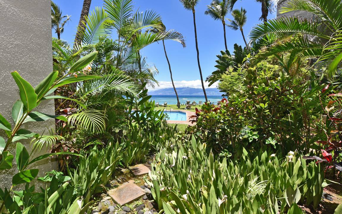 Photo of Others in Honokowai