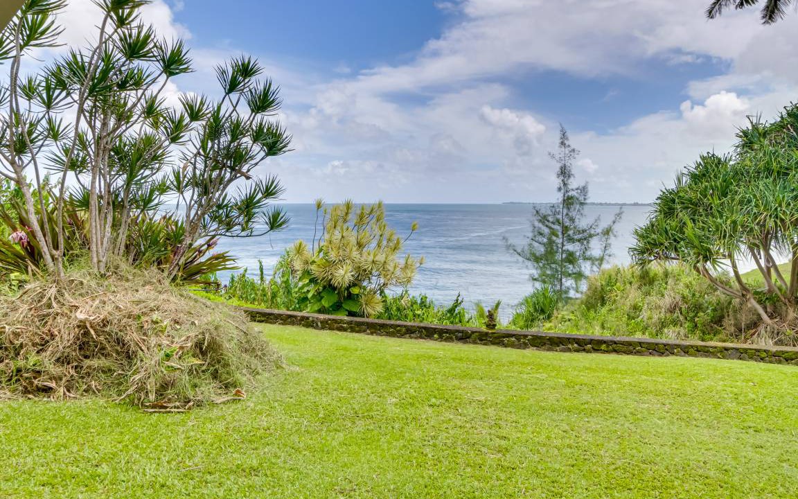 Photo of Others in Hilo