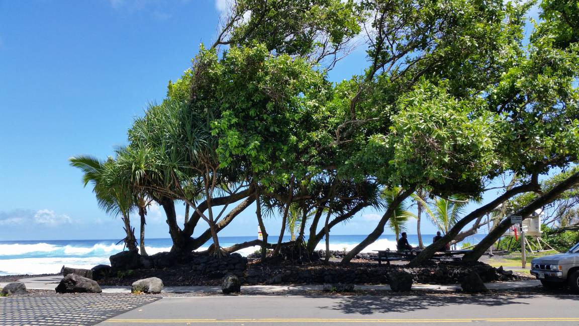 Photo of Others in Keaau
