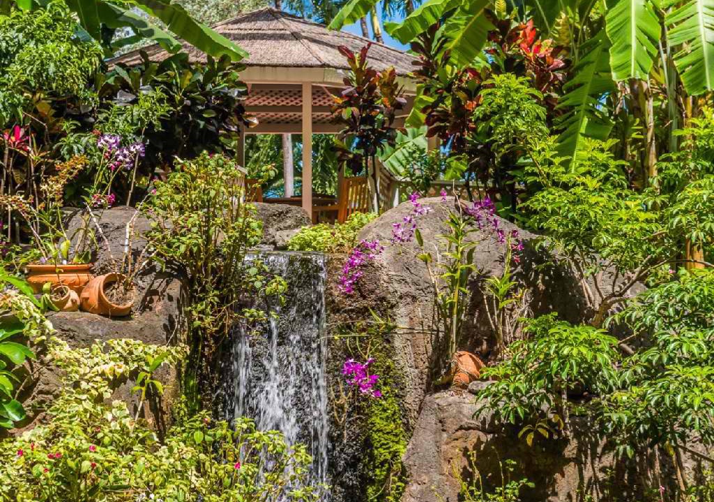 Photo of Others in Lahaina