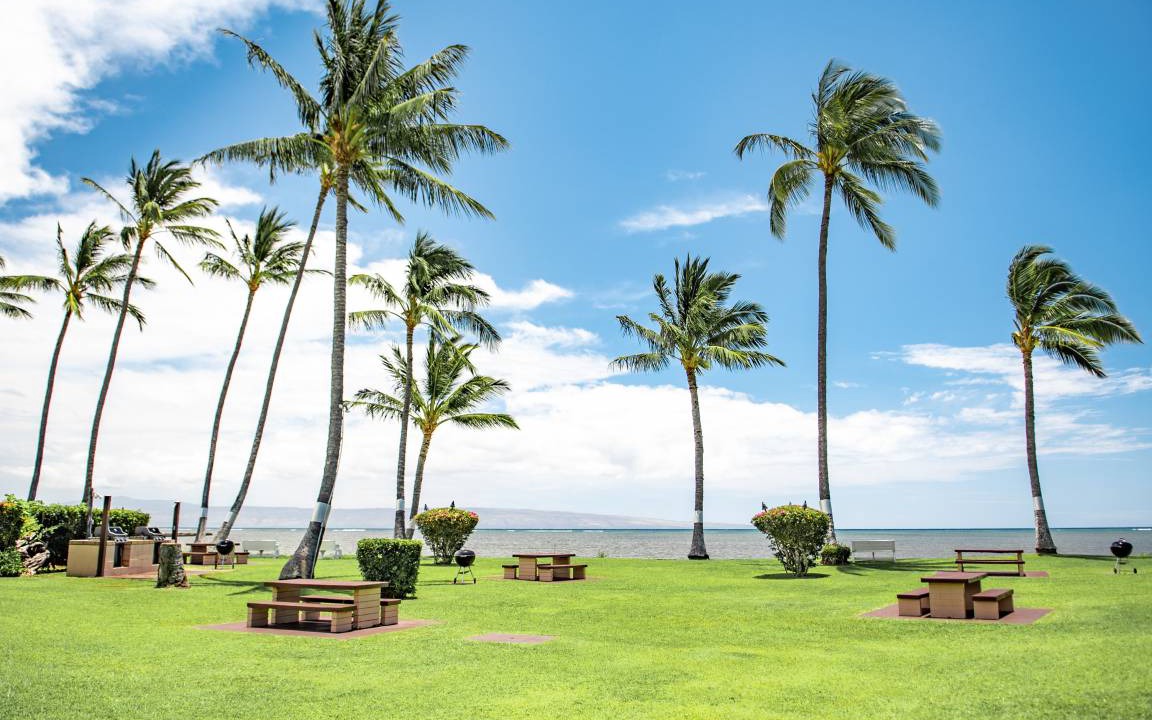 Photo of Others in Kaunakakai