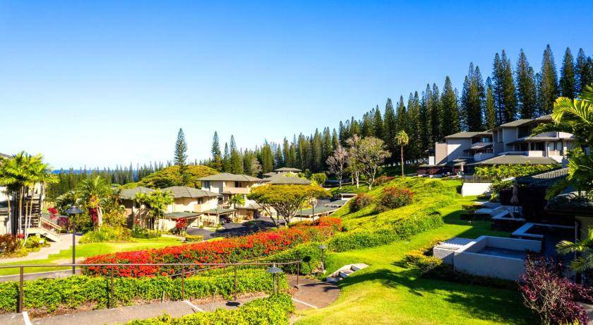 Photo of Others in Kapalua