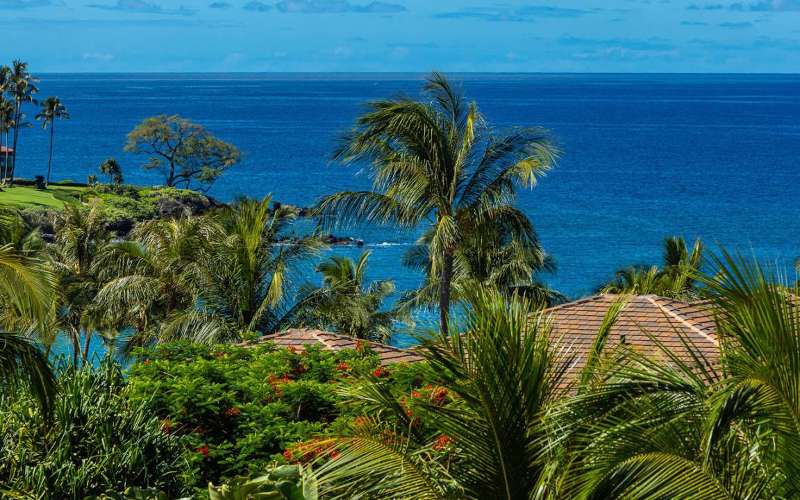 Photo of Others in Wailea