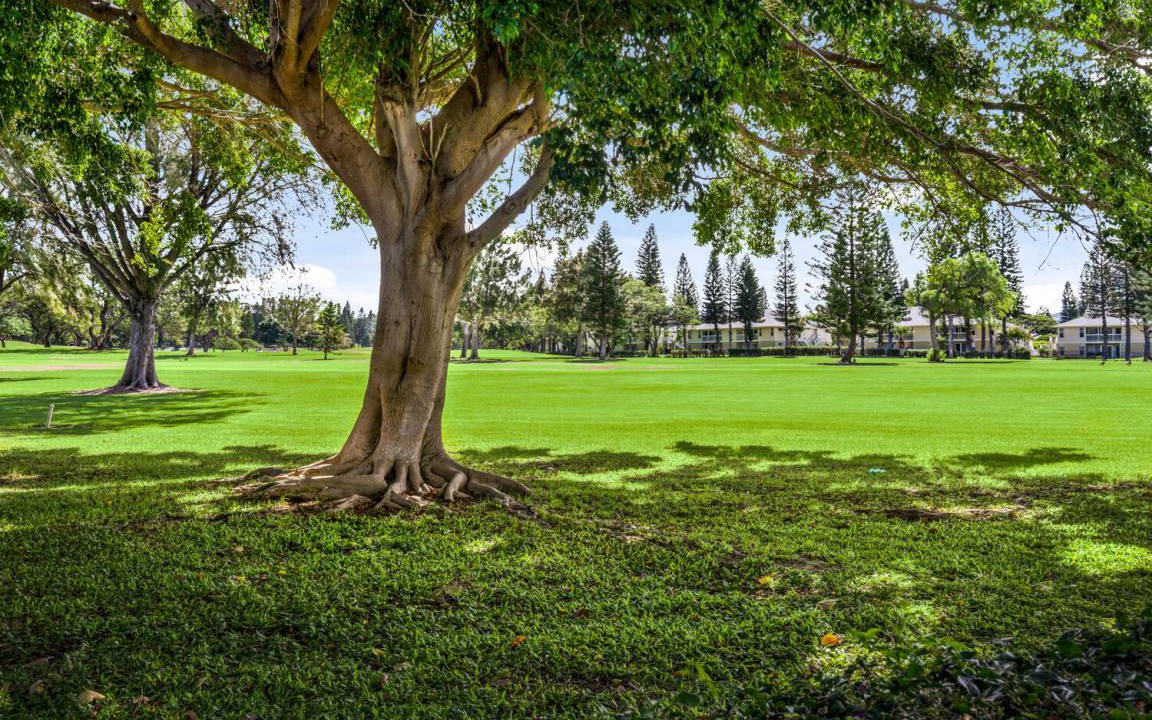 Photo of Others in Waikoloa