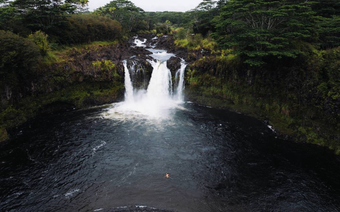 Photo of Others in Hilo