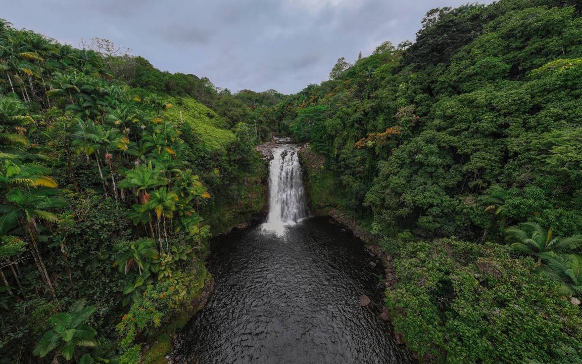 Photo of Others in Hilo