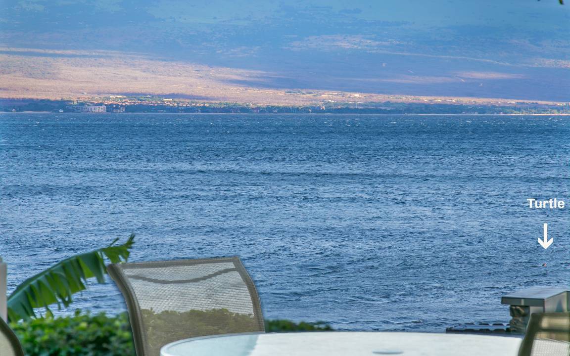 Photo of Others in Maalaea