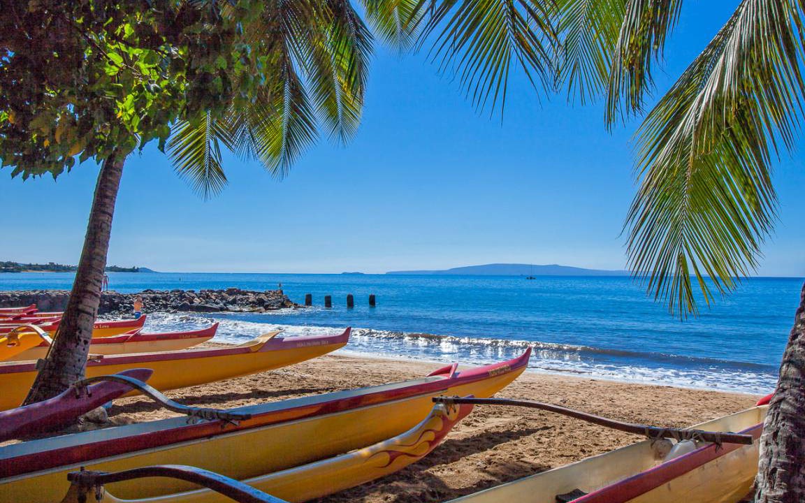 Photo of Others in Kihei