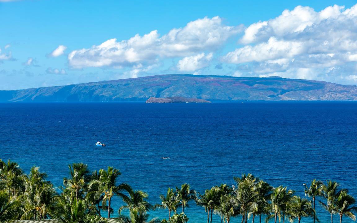 Photo of Others in Wailea