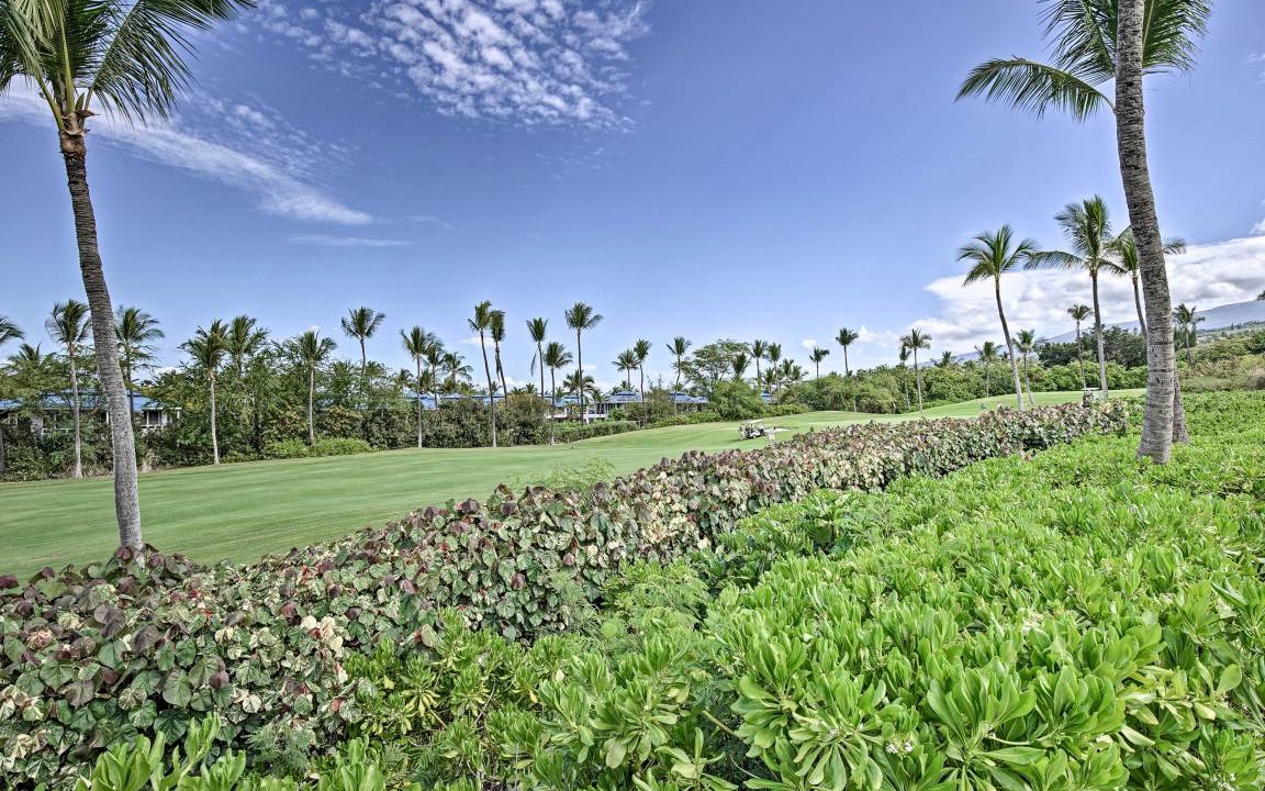 Photo of Others in Keauhou
