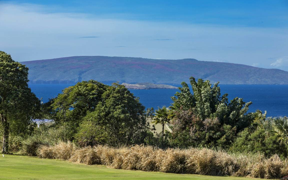 Photo of Others in Wailea