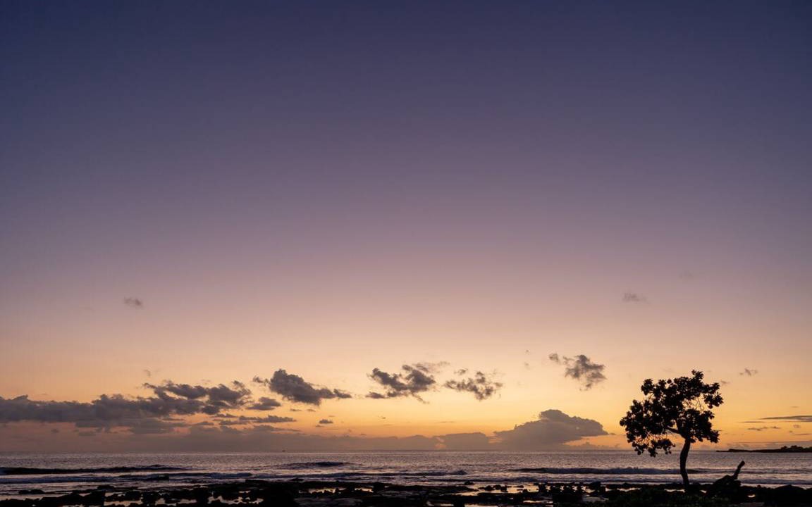 Photo of Others in Kahaluu Bay