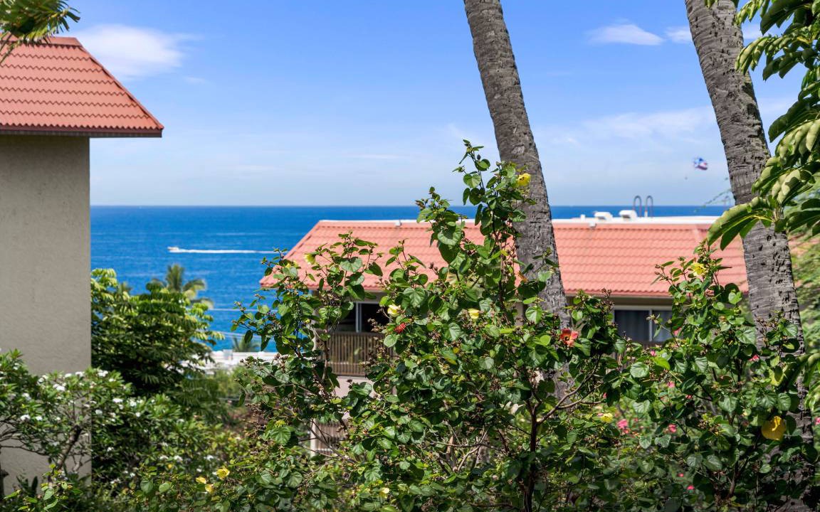 Photo of Others in Historic Kailua Village
