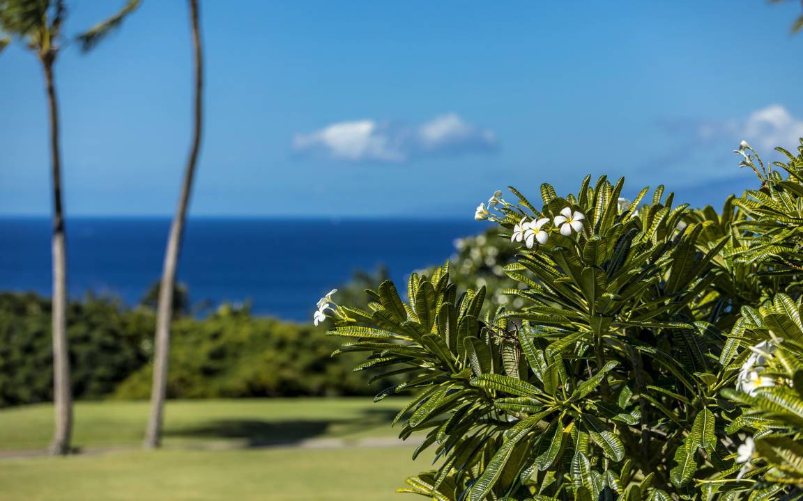 Photo of Others in Wailea