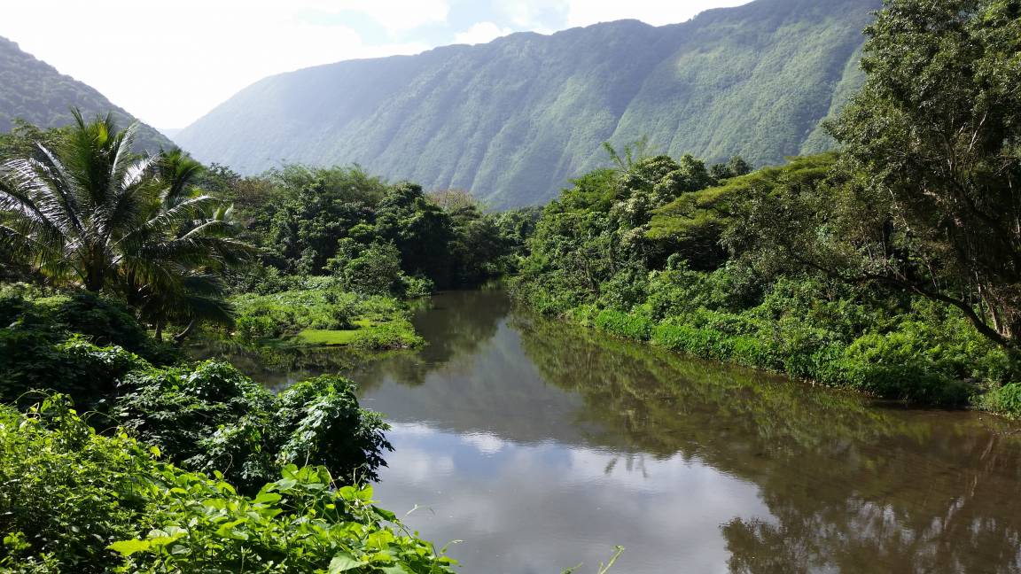 Photo of Others in Hilo