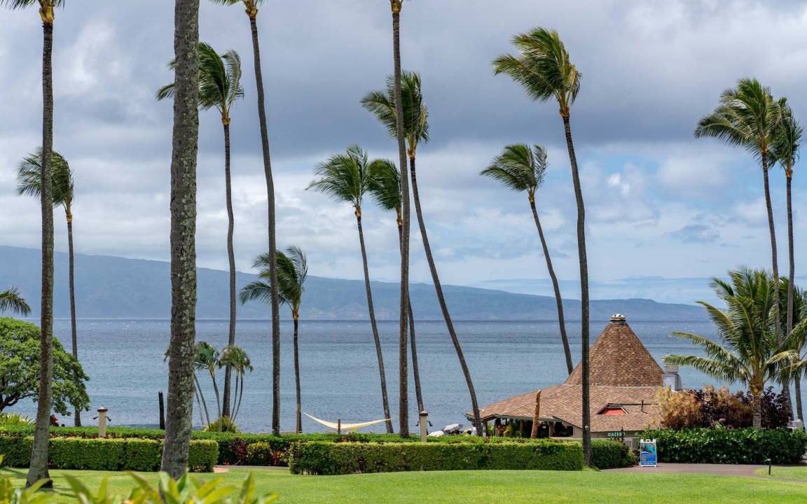 Photo of Others in Napili