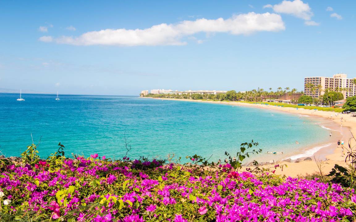Photo of Others in Kaanapali