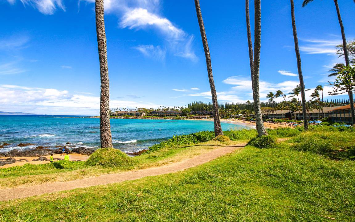 Photo of Others in Napili
