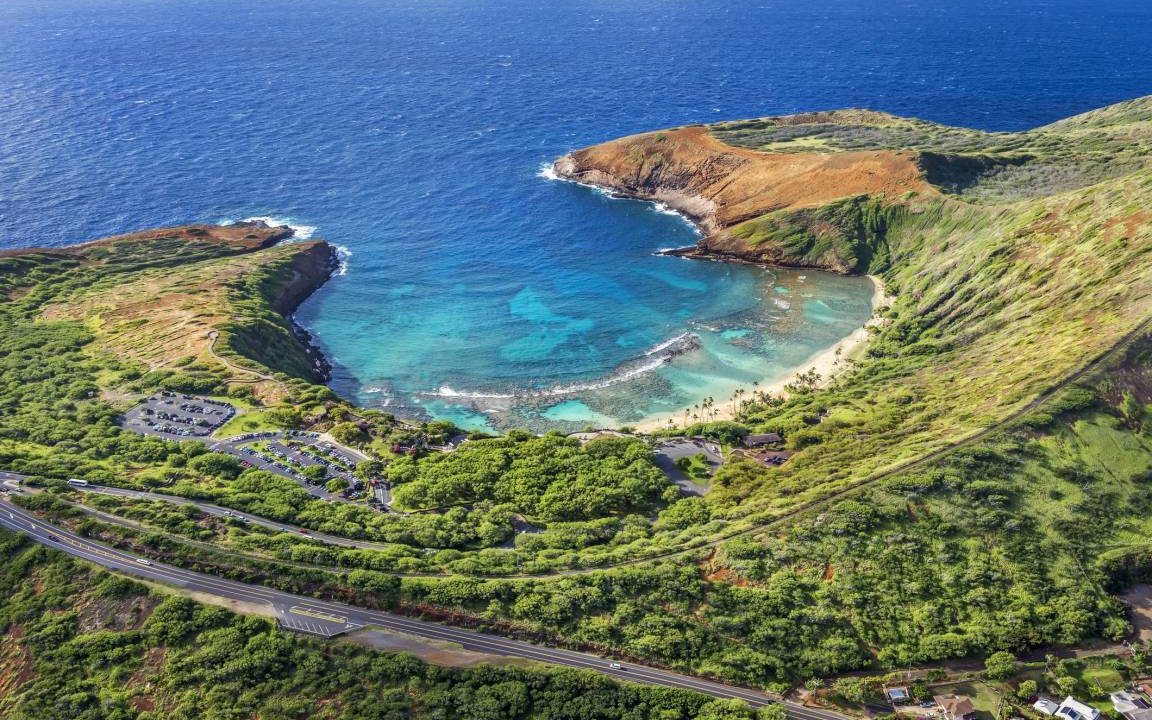 Photo of Others in McCully - Moiliili