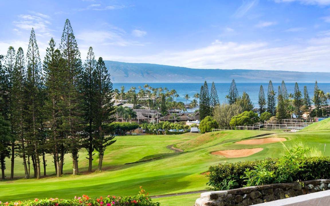 Photo of Others in Lahaina