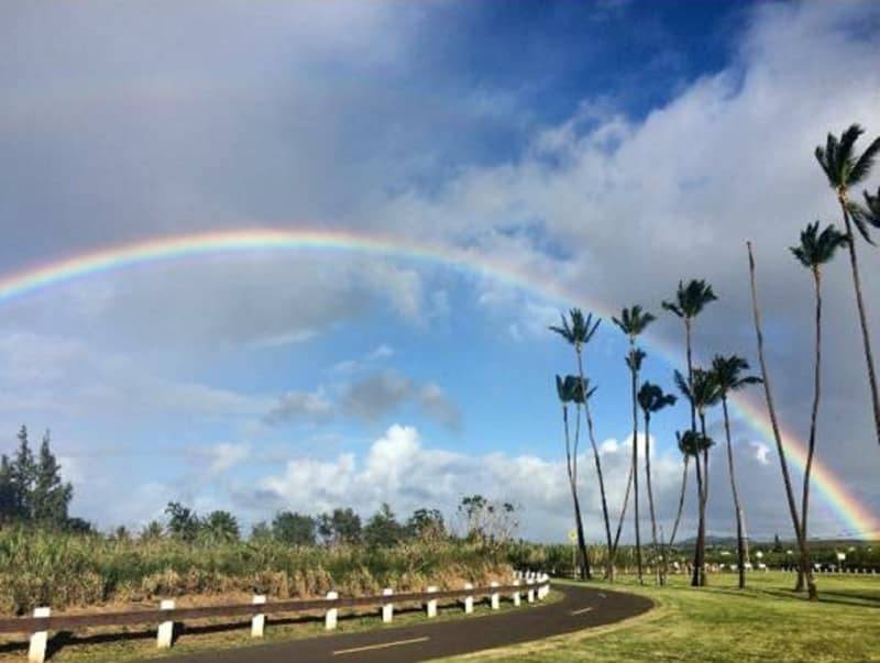 Photo of Others in Paia