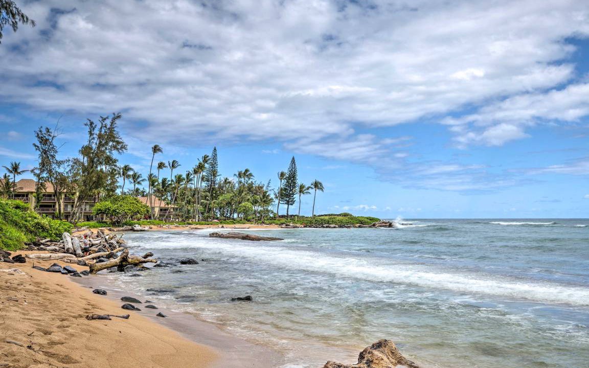 Photo of Others in Wailua