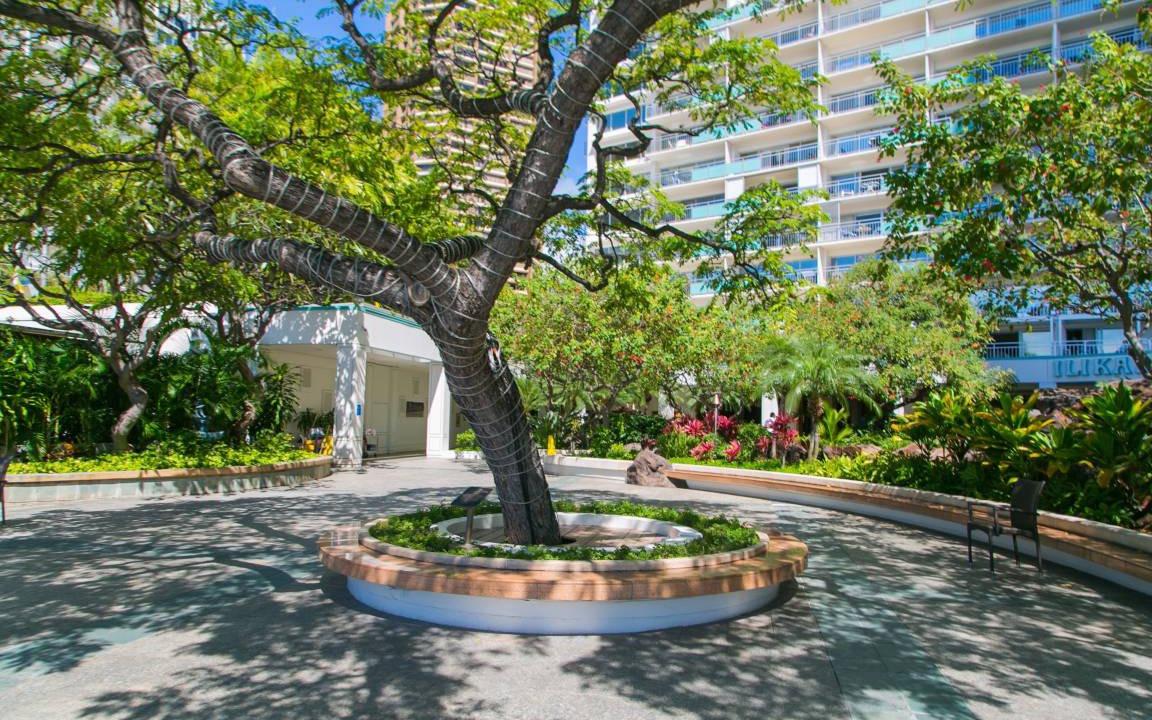 Photo of Others in Waikiki