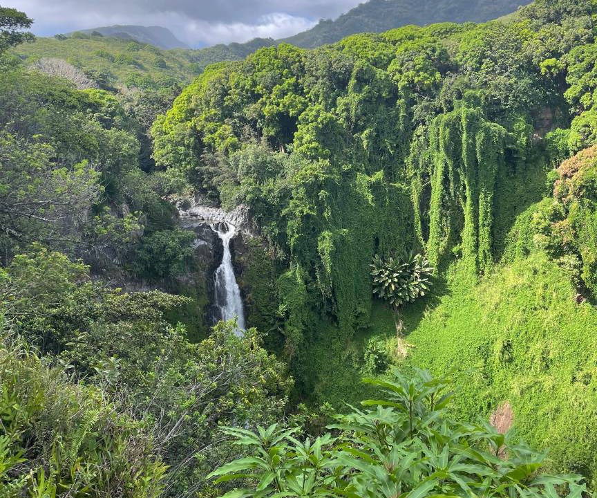 Photo of Others in Wailuku