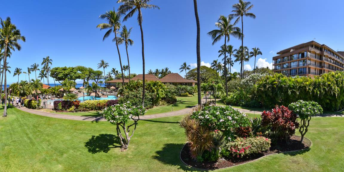 Photo of Others in Kaanapali
