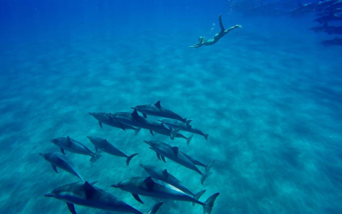 Photo of Others in Kaupulehu