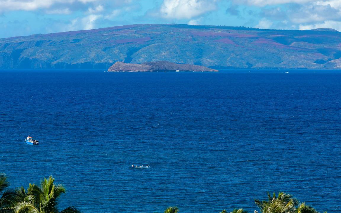 Photo of Others in Wailea
