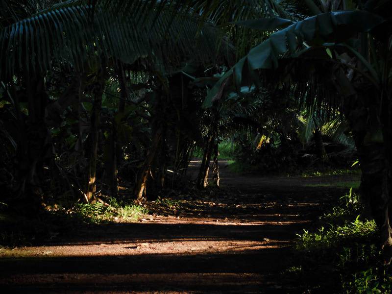 Photo of Others in Kapoho