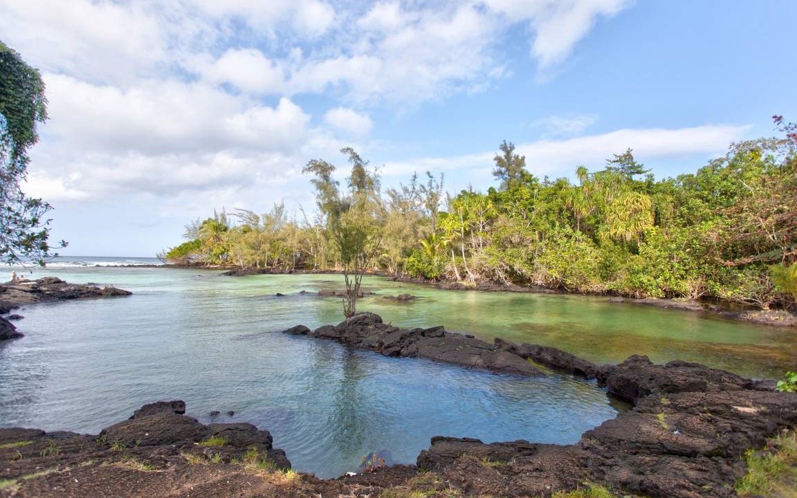 Photo of Others in Hilo