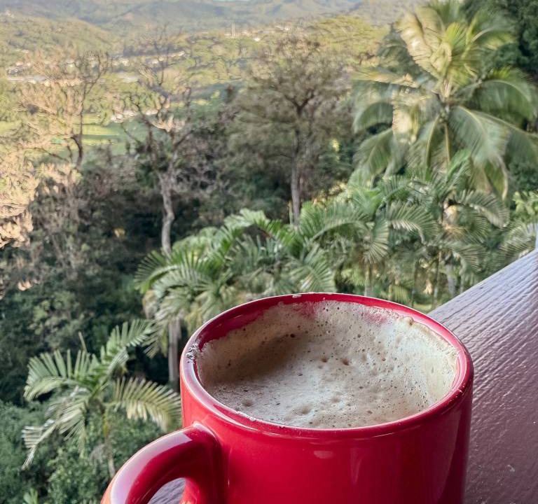Photo of Patio Balcony in Lawai