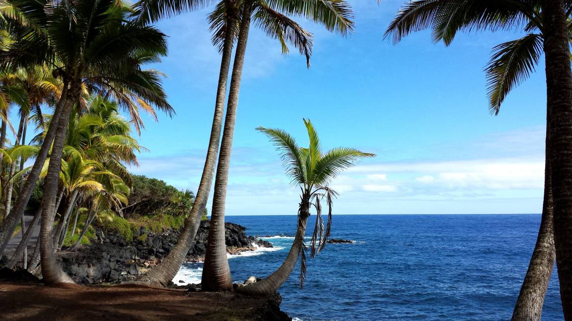 Photo of Others in Kehena Beach Estates