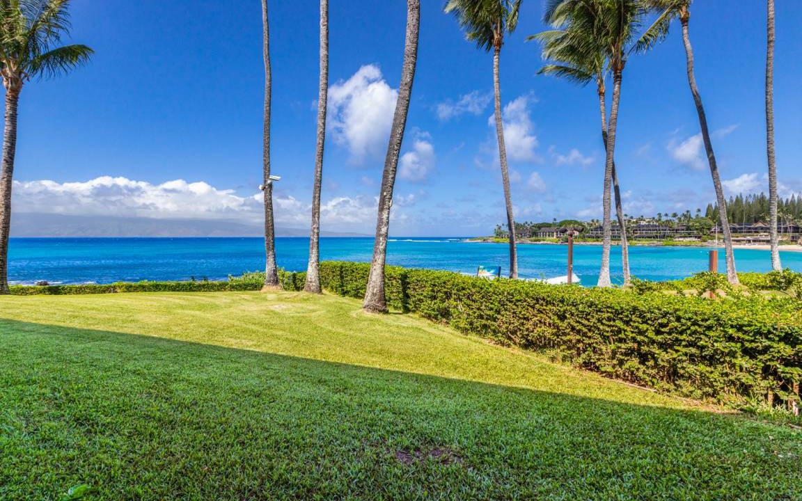 Photo of Others in Napili