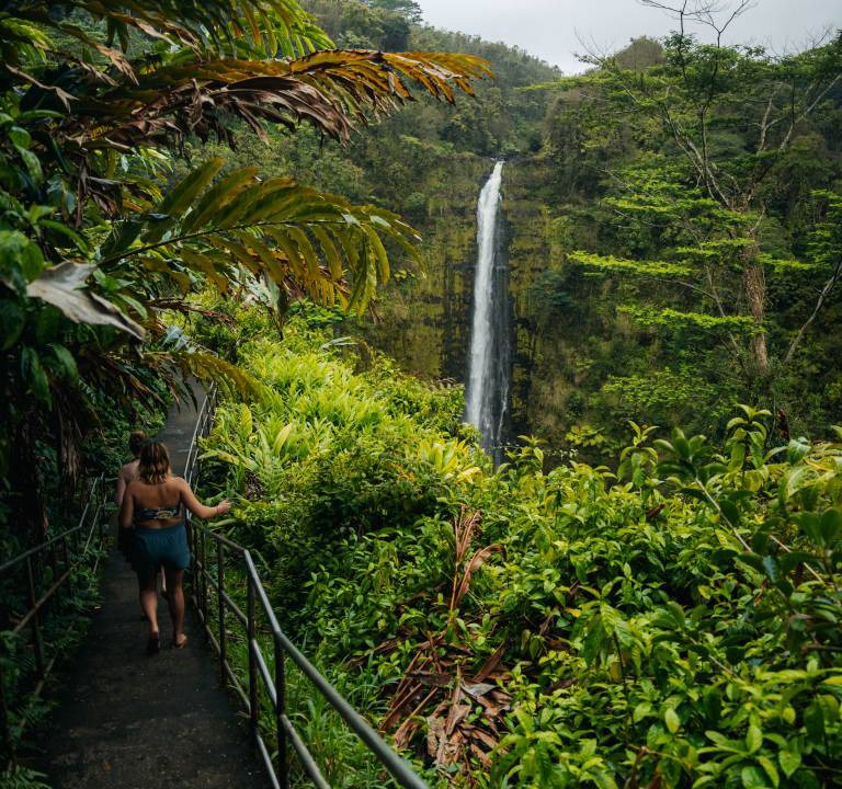 Photo of Others in Hilo