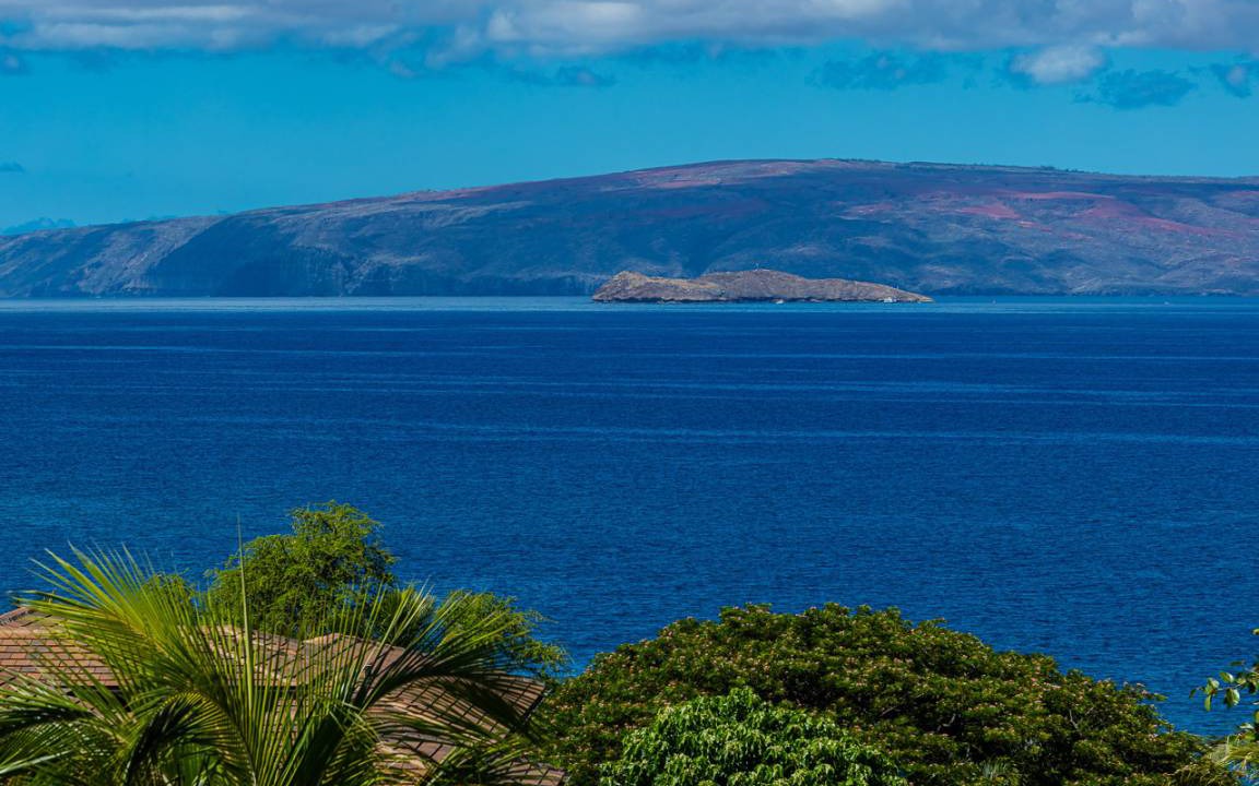 Photo of Others in Wailea