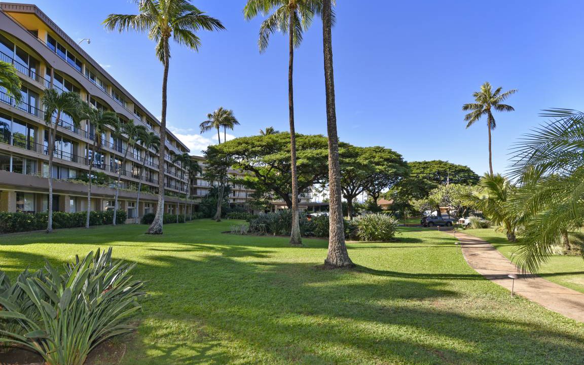 Photo of Others in Kaanapali