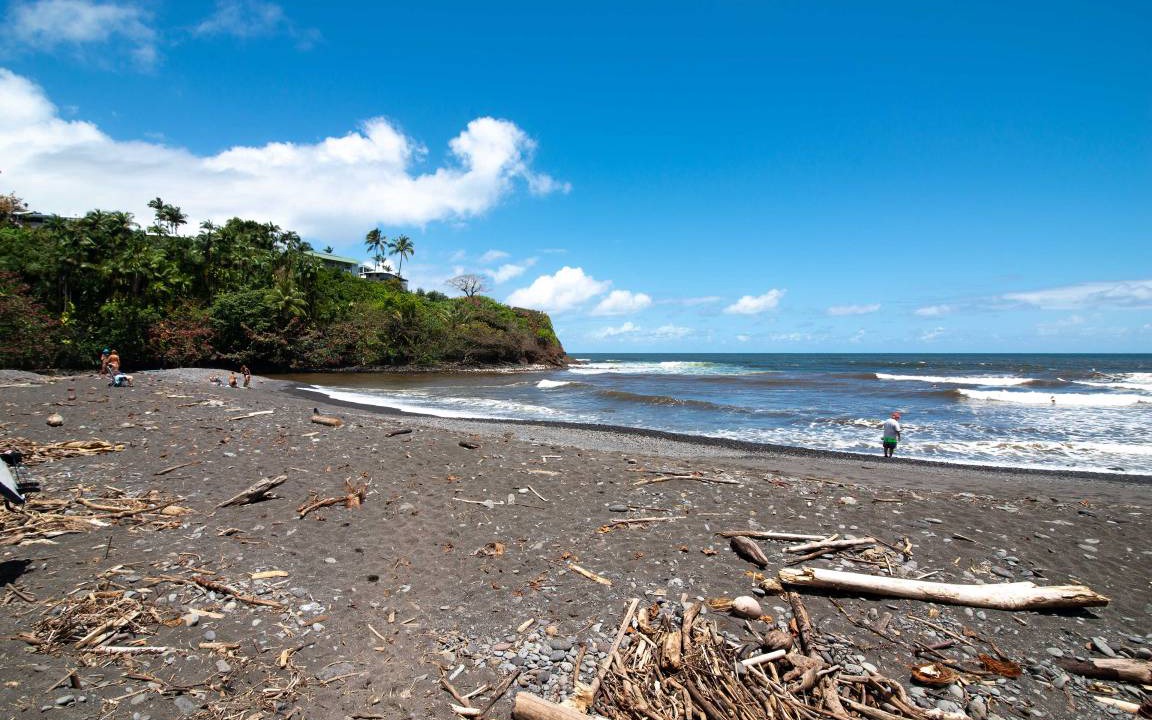Photo of Others in Hilo