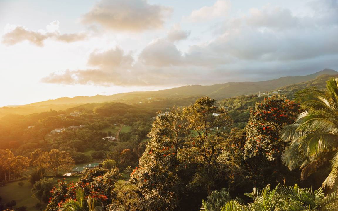 Photo of Others in Lawai