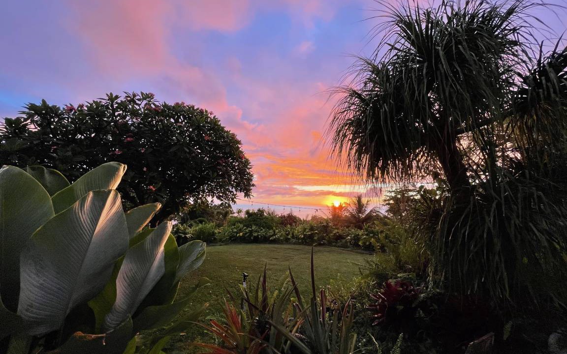 Photo of Others in Kealakekua