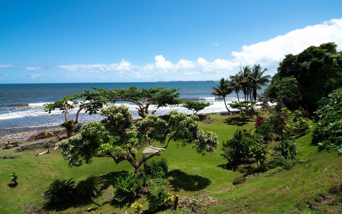 Photo of Others in Hilo