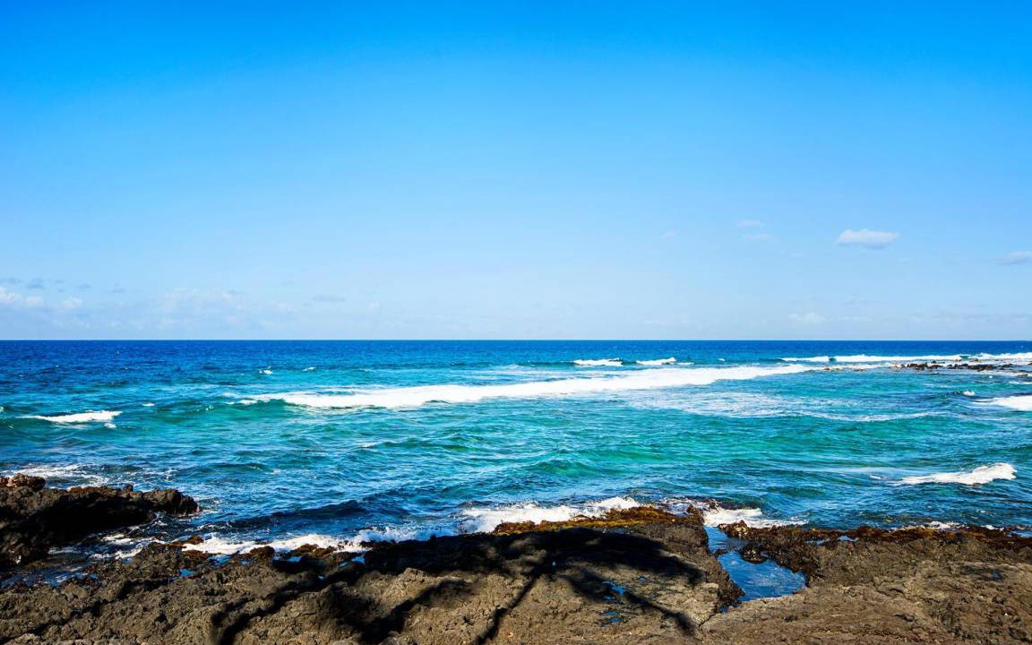 Photo of Others in Kahaluu Bay