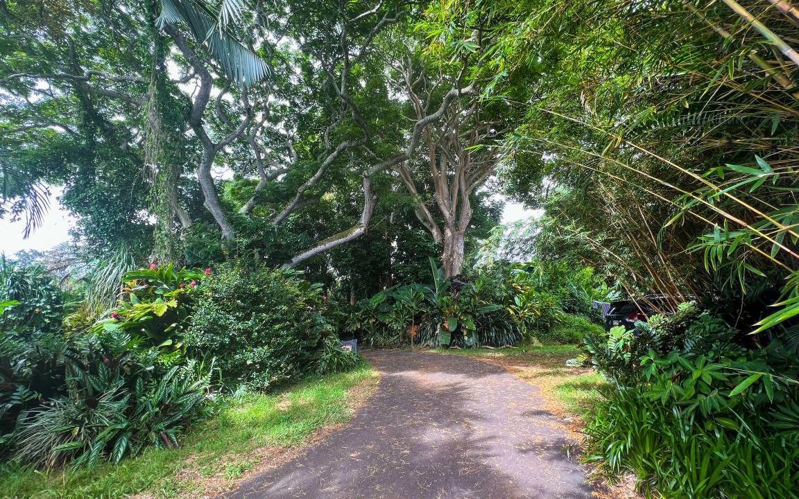 Photo of Others in Kealakekua