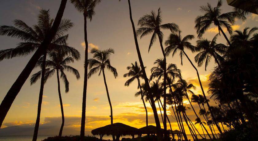 Photo of Others in Kaanapali